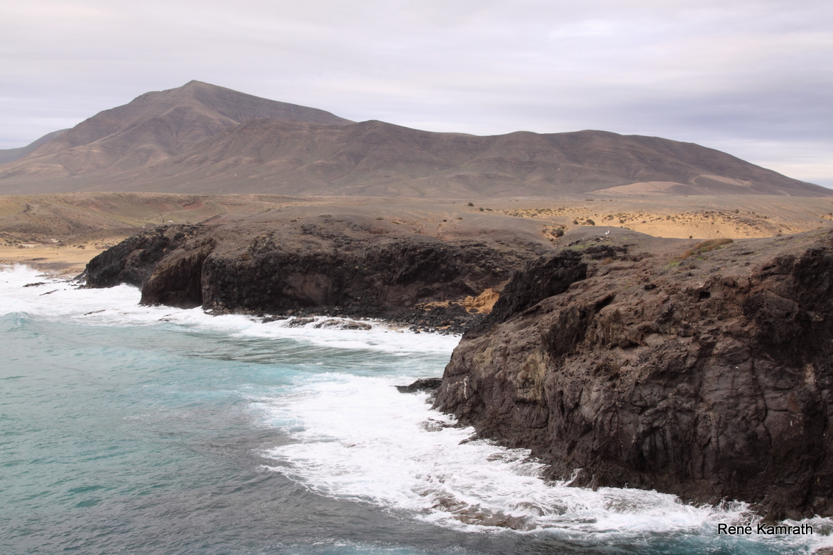 Rana rene lanzarote playa honda #6